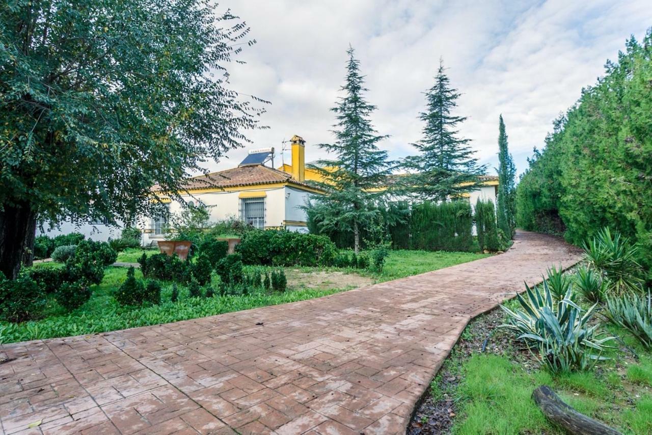 Apartmán Casa Elizabeth Palomares del Río Exteriér fotografie